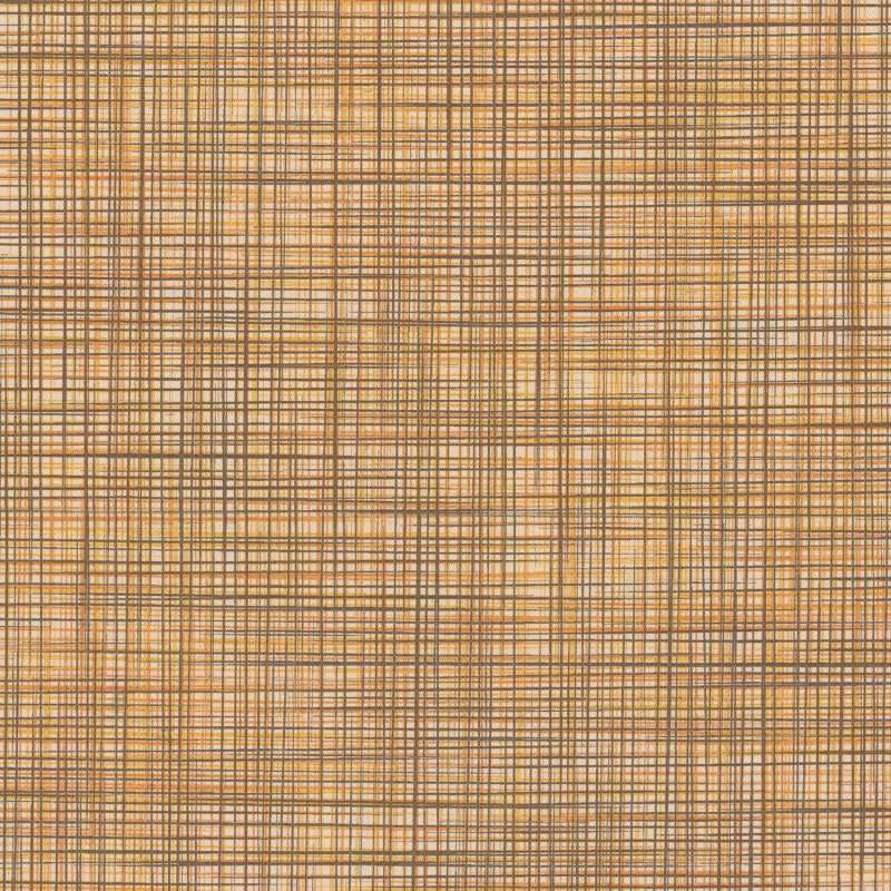 Speakeasy Cv Amber