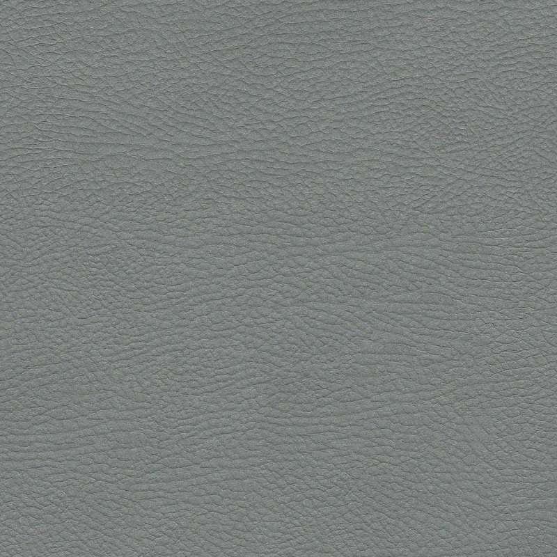 Tanner Tint