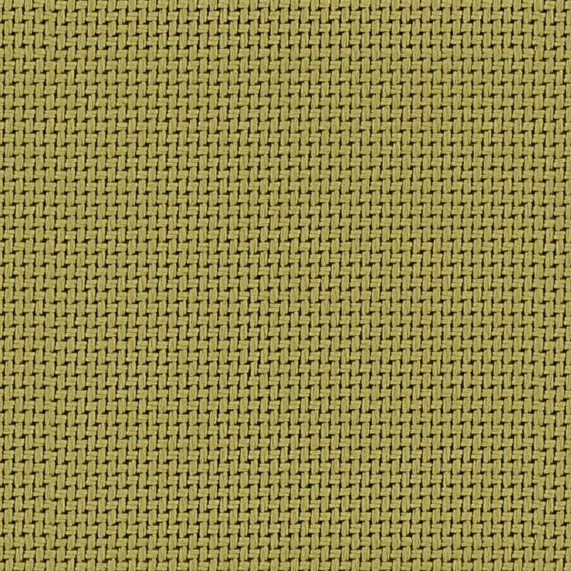 Tradition C-zero Frond