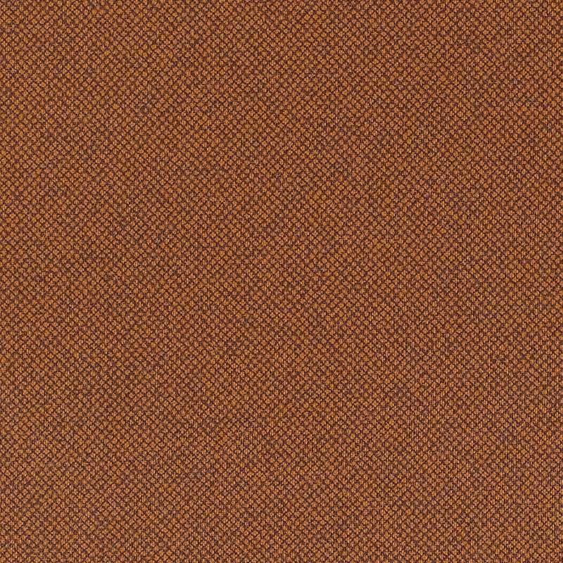 Tribeca Cv Amber