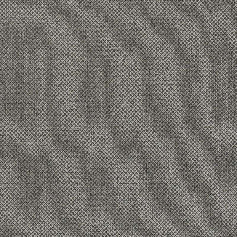 Tribeca Cv Griffin