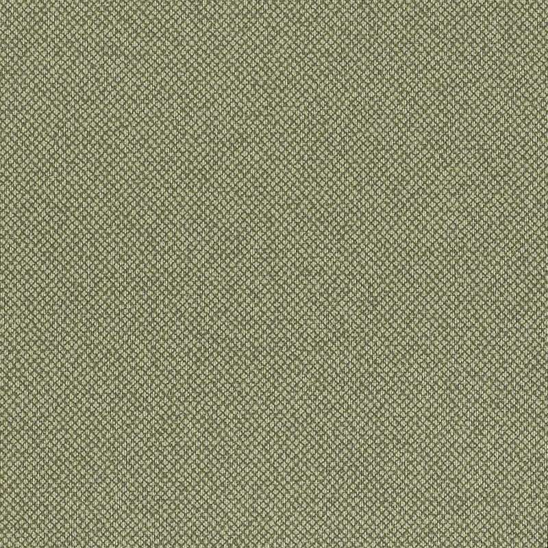 Tribeca Cv Lichen