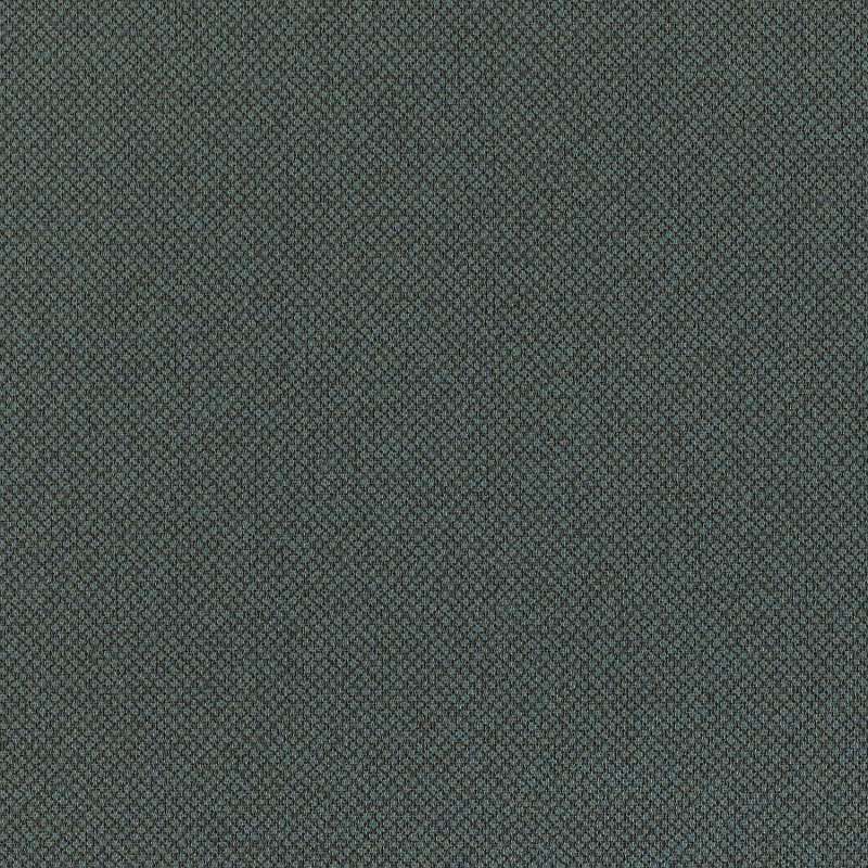 Tribeca Cv Plume