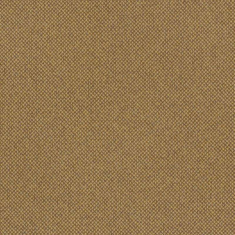 Tribeca Cv Root