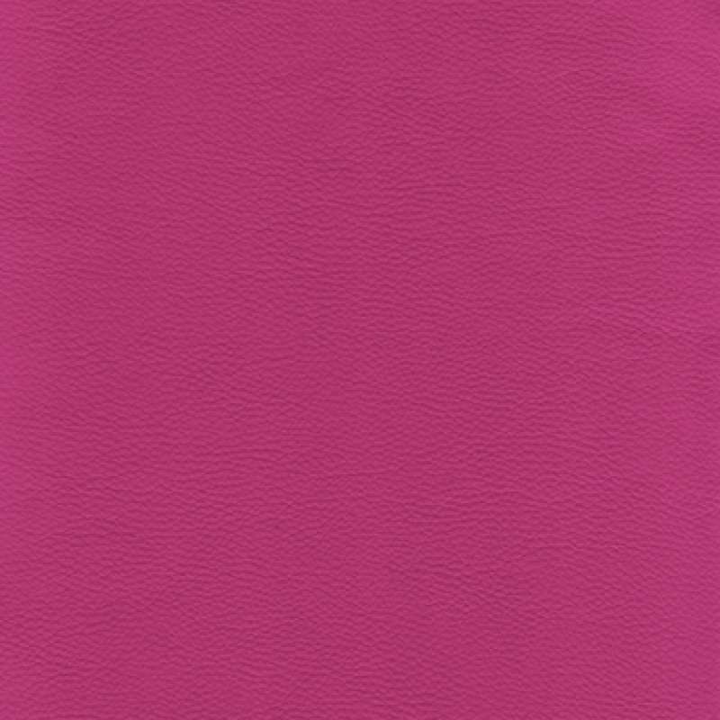 Turkish Delight Rose