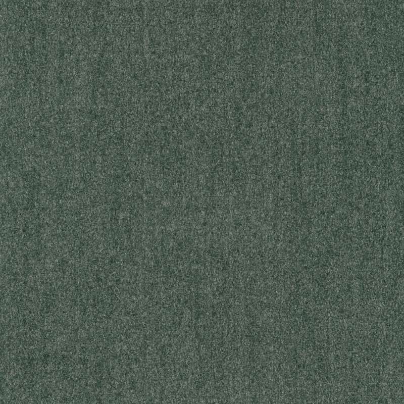 Vara Spruce