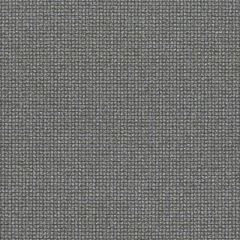 Witzel Cv Ash