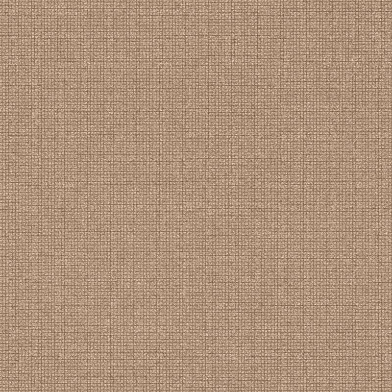 Witzel Cv Beachgrass