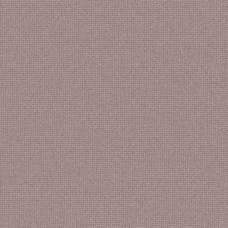 Witzel Cv Coriander