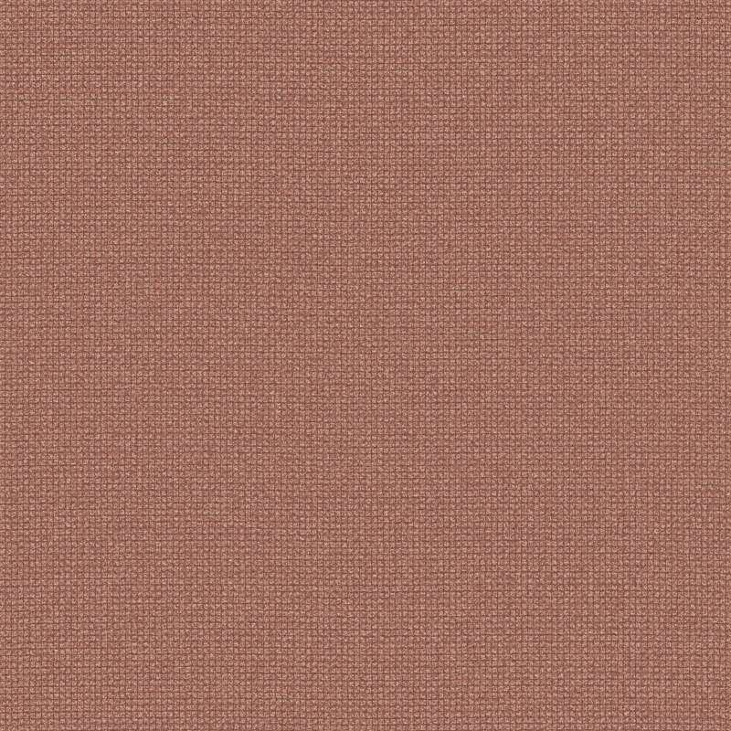 Witzel Cv Terracotta
