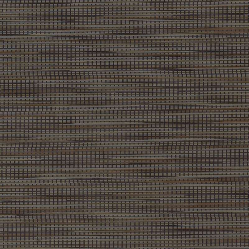Zipped Komodo