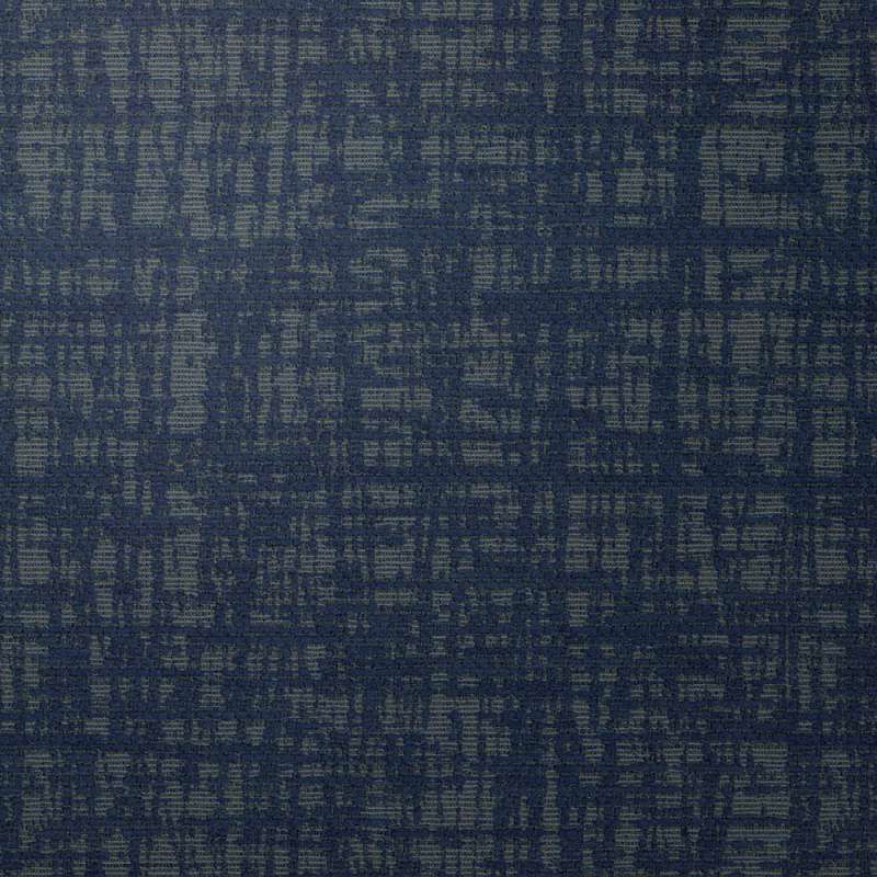 Zoetic Blue Streak