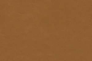 Arc-Com Polished #3 Nutmeg