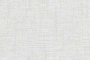 C.F. Stinson Criss Cross 2.0 Quicksilver