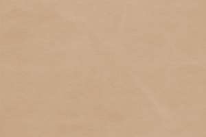 Green Hides Dakar Leather Cera Latte