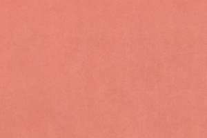 Maharam Cotton Velvet Rosebud