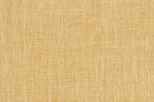 Maharam Petra Trove
