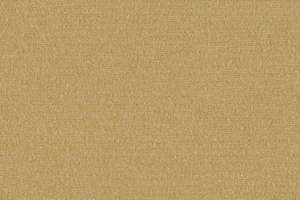 OFS Mesa Sandstone