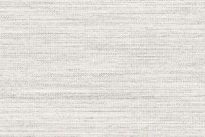 C.F. Stinson Fleck Gull