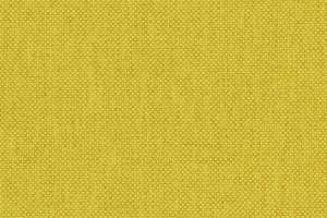 Maharam Mode Oxeye