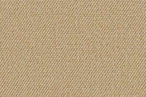 Camira Revolutionary Evolve