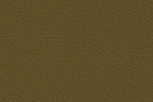 Green Hides Sierra Leather Olive