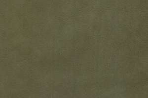 Green Hides Touche Leather Verdone