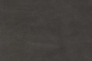 Green Hides Touche Leather Dove
