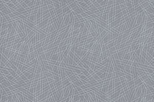 C.F. Stinson Vector Ray