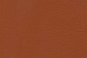 Spradling Whisper Cinnamon