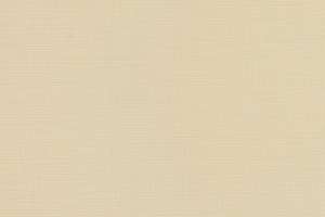 Momentum Silica Etch Almond