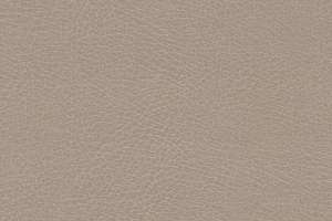 Momentum Silica Suede Putty