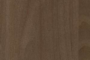 Pecan
