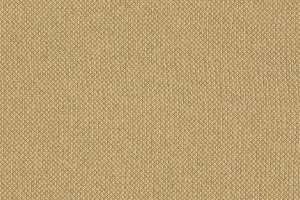 Momentum Tribeca Cv Cane